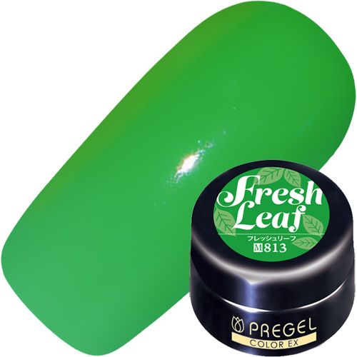 【トロピカルフラワーシリーズ】カラーEX3g 813 フレッシュリーフ【ゆうパケット】