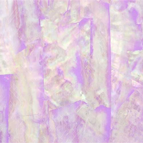 シェルシート ピンク【お取り寄せ】【ゆうパケット】