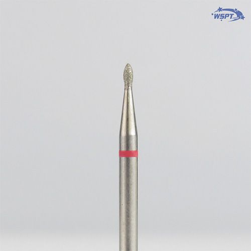 TAKESHI先生監修 Always UP【ゆうパケット】