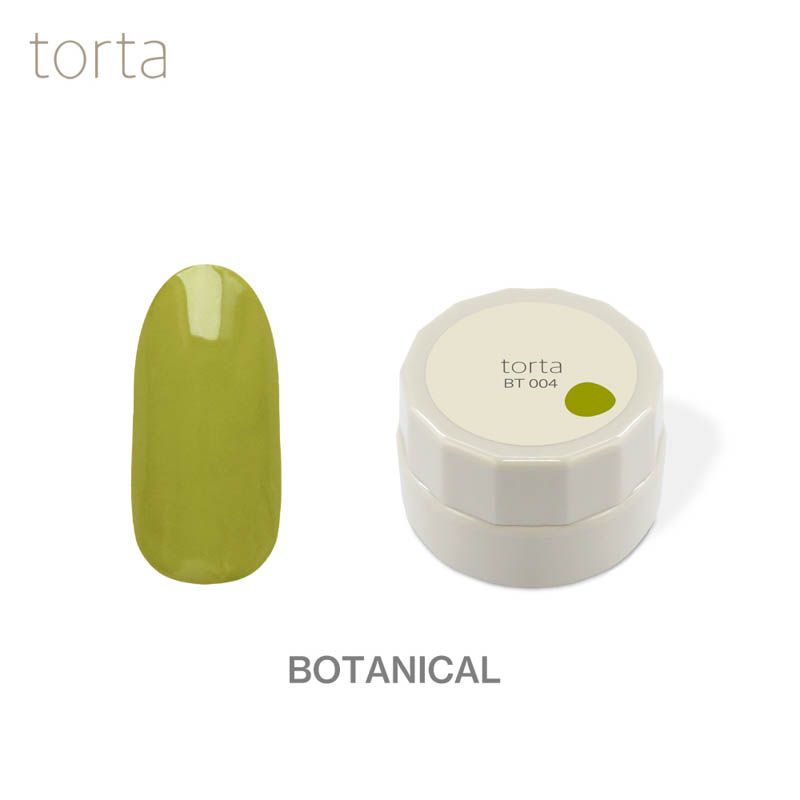 torta カラージェル 『ボタニカル』3g  BT004【ゆうパケット】