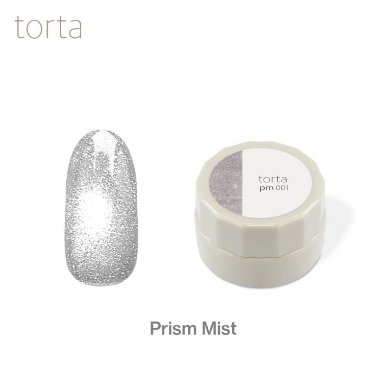 torta マグネットジェル 『プリズムミスト』 3g  pm001【ゆうパケット】
