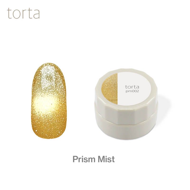 torta マグネットジェル 『プリズムミスト』 3g  pm002【ゆうパケット】