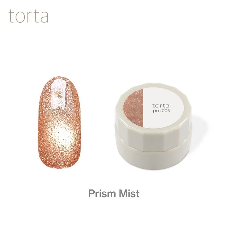 torta マグネットジェル 『プリズムミスト』 3g  pm003【ゆうパケット】