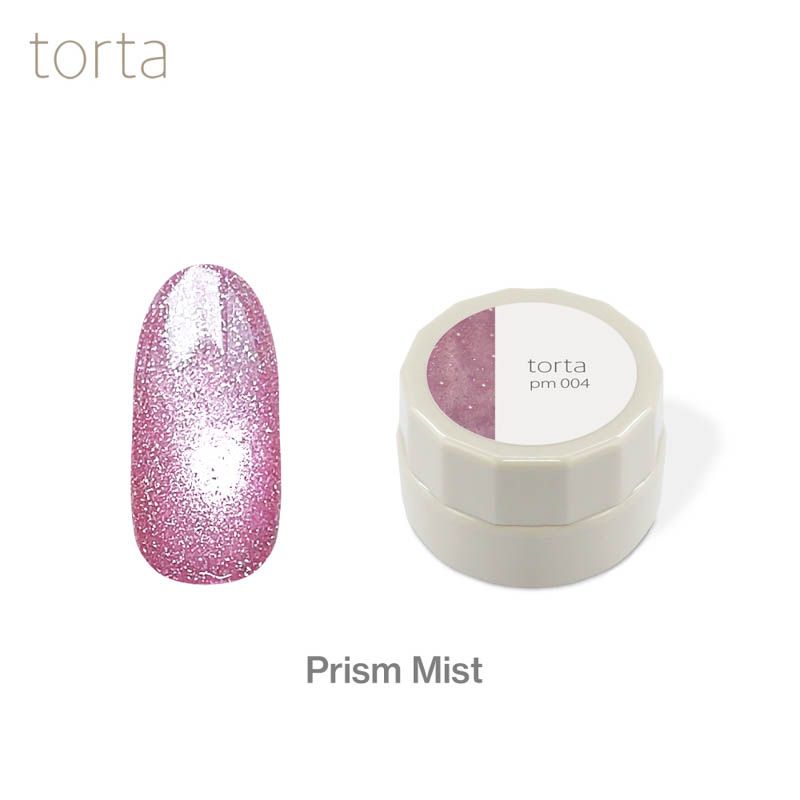 torta マグネットジェル 『プリズムミスト』 3g  pm004【ゆうパケット】