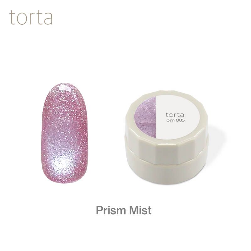 torta マグネットジェル 『プリズムミスト』 3g  pm005【ゆうパケット】
