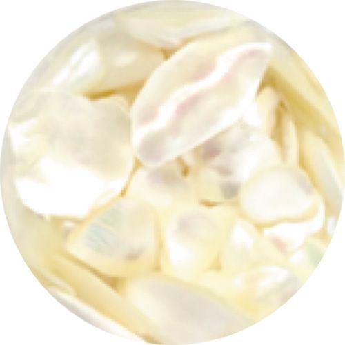 アイスシェル10【お取り寄せ】【ゆうパケット】