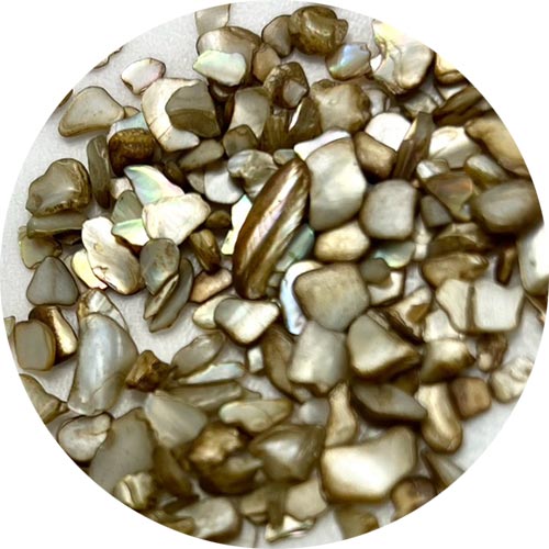 アイスシェル11【お取り寄せ】【ゆうパケット】