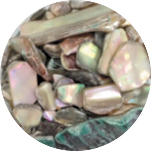 アイスシェル16【お取り寄せ】【ゆうパケット】