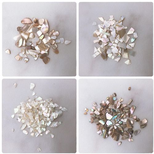 クラッシュシェル4種セット C【ゆうパケット】