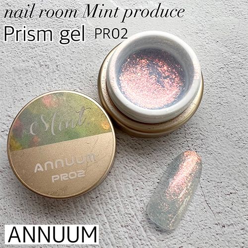 ●【nail room Mint produce】プリズムジェル3g PR02【お取り寄せ】【ゆうパケット】