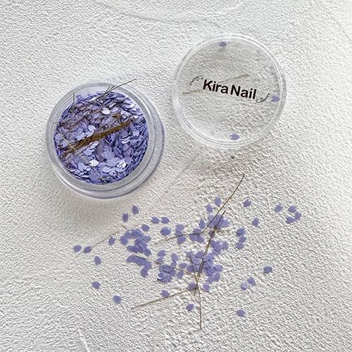 HOLOGRAM 花びら ケース入 フジムラサキ【お取り寄せ】【ゆうパケット】