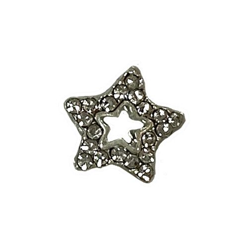 スターカペラ シルバー2個入【お取り寄せ】【ゆうパケット】