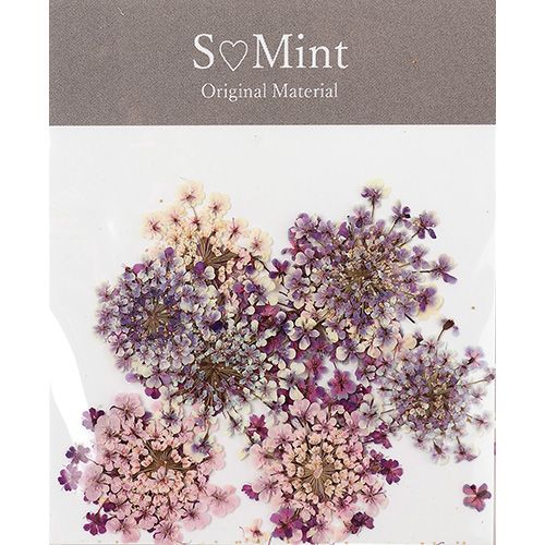 Lace Flower ColorSelect Purple【ゆうパケット】