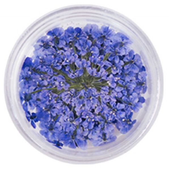 Lace Flower 14RoyalBlue【ゆうパケット】