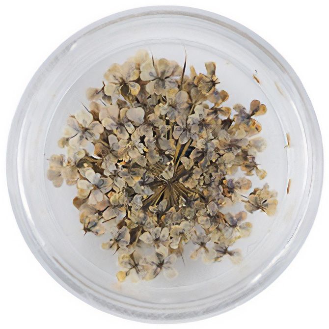 Lace Flower 47RoseGray【ゆうパケット】