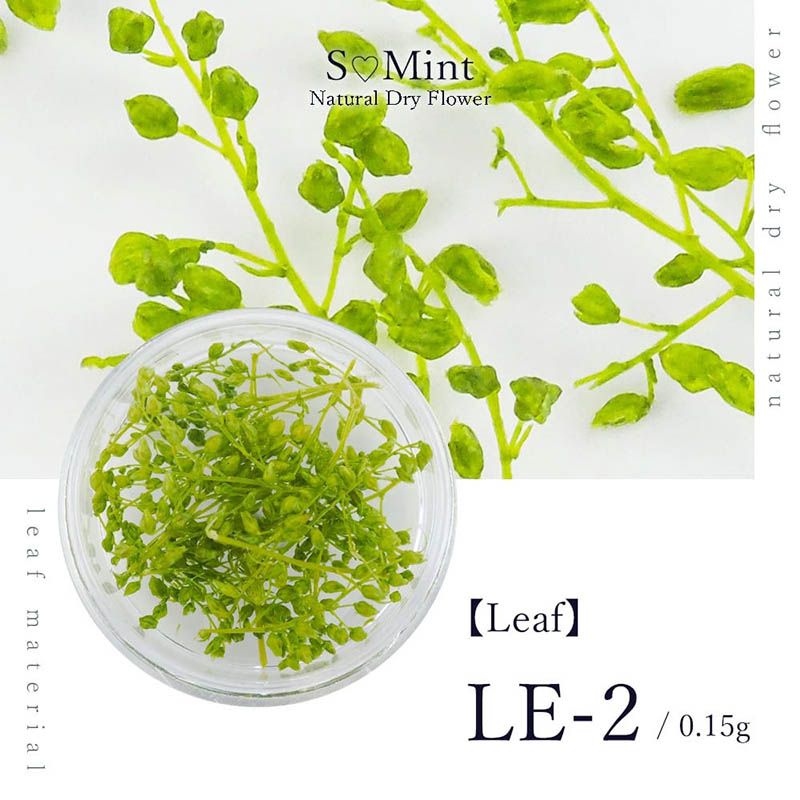 【Leaf】LE-2【ゆうパケット】