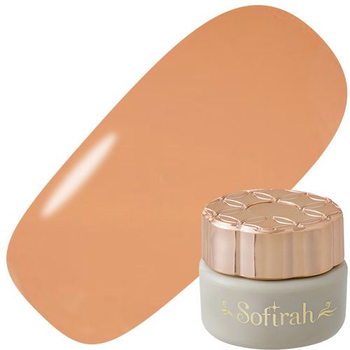 カラージェル 3g B208MS【ゆうパケット】