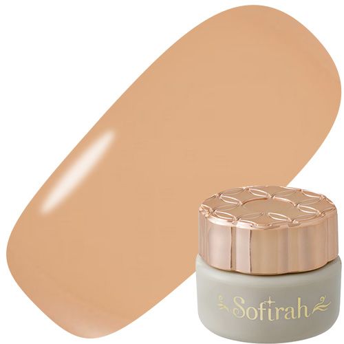 カラージェル 3g B209M【ゆうパケット】