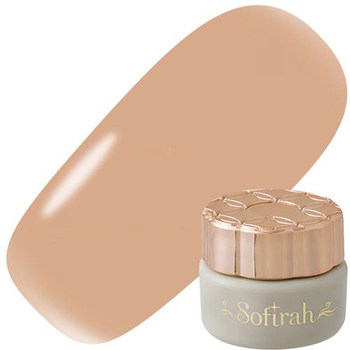 カラージェル 3g B213MS【ゆうパケット】