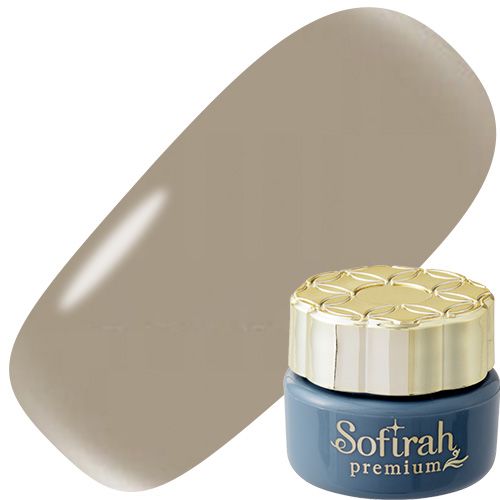 カラージェル 3g C029M【ゆうパケット】