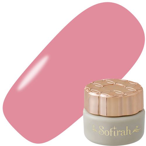 【ブロッサムピンクライン】カラージェル3g R561MS【ゆうパケット】