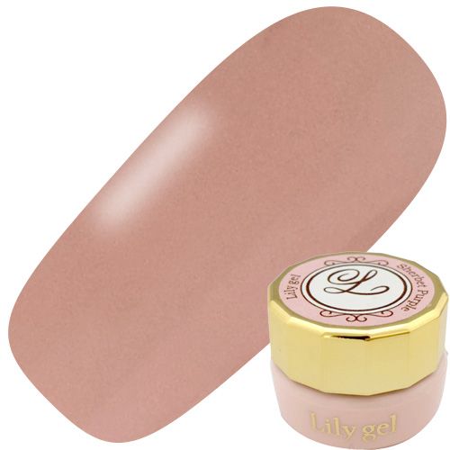 カラージェル3g #019 ティーラテ【ゆうパケット】