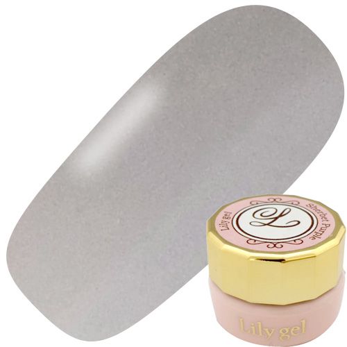 カラージェル3g #027 キャットグレー【ゆうパケット】