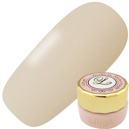 カラージェル3g #041 カスタード【ゆうパケット】