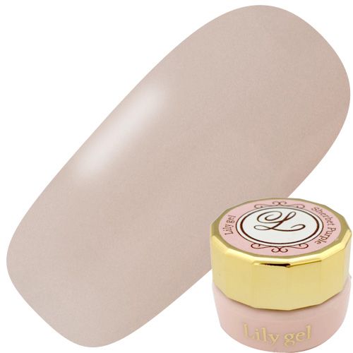 カラージェル3g #046 シアーマロン【ゆうパケット】