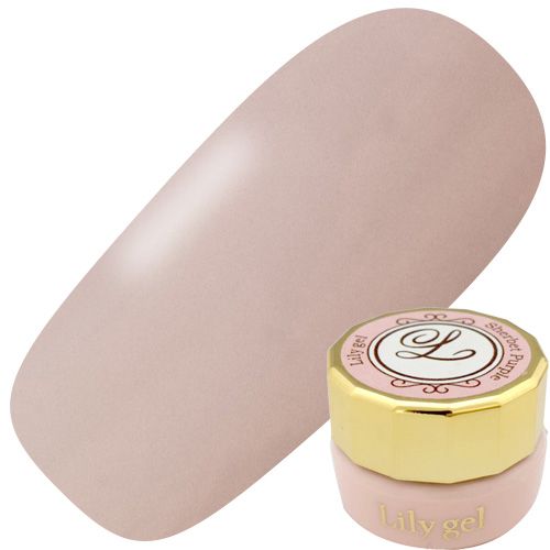 カラージェル3g #048 ソイラテ【ゆうパケット】