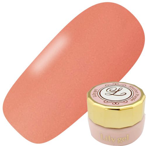 カラージェル3g #051 シアーカクテル【ゆうパケット】