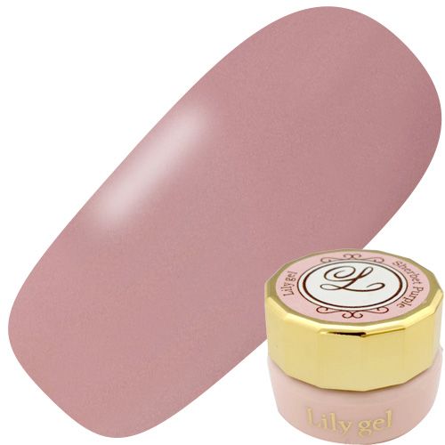 カラージェル3g #067 リッチモーヴ【ゆうパケット】