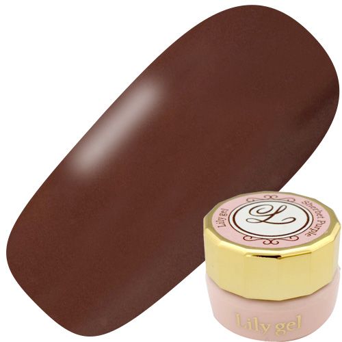 カラージェル3g #070 ホットチョコレート【ゆうパケット】