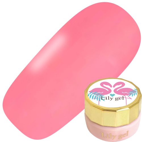 【フラミンゴシリーズ】カラージェル3g #F04 ハンモック【ゆうパケット】