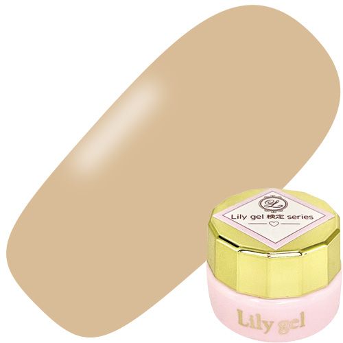 【検定シリーズ】カラージェル3g #04 ベージュ【ゆうパケット】