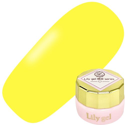 【検定シリーズ】カラージェル3g #05 イエロー【ゆうパケット】