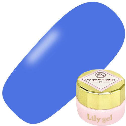 【検定シリーズ】カラージェル3g #06 ブルー【ゆうパケット】