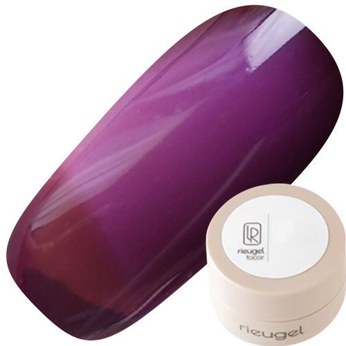 カラージェル2.5g 484【ゆうパケット】