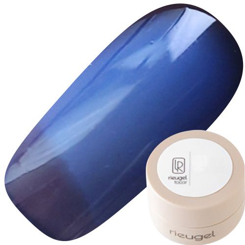 カラージェル2.5g 487【ゆうパケット】