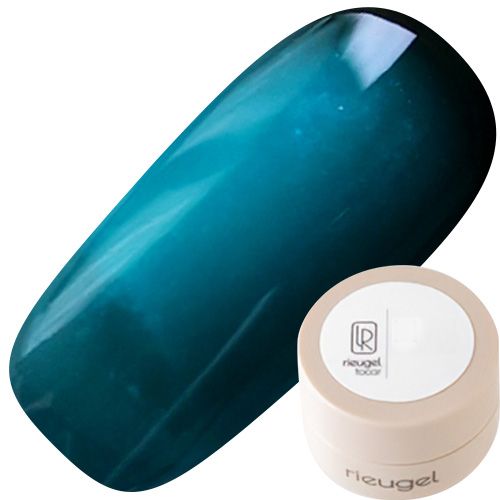 カラージェル2.5g N4【ゆうパケット】