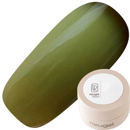 カラージェル2.5g N゜08S【ゆうパケット】