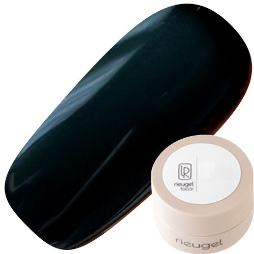 カラージェル2.5g N10【ゆうパケット】