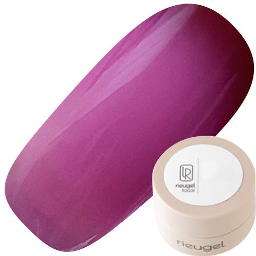 カラージェル2.5g N゜15S【ゆうパケット】