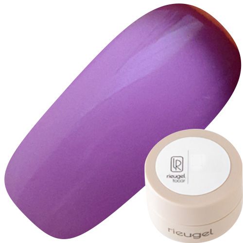 カラージェル2.5g N゜16S【ゆうパケット】