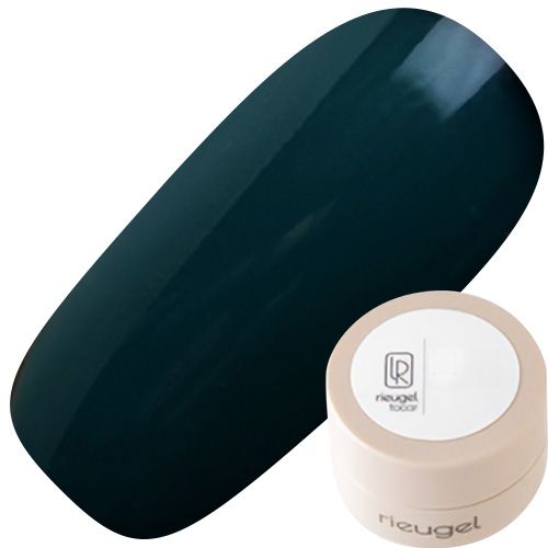 カラージェル2.5g N39【ゆうパケット】